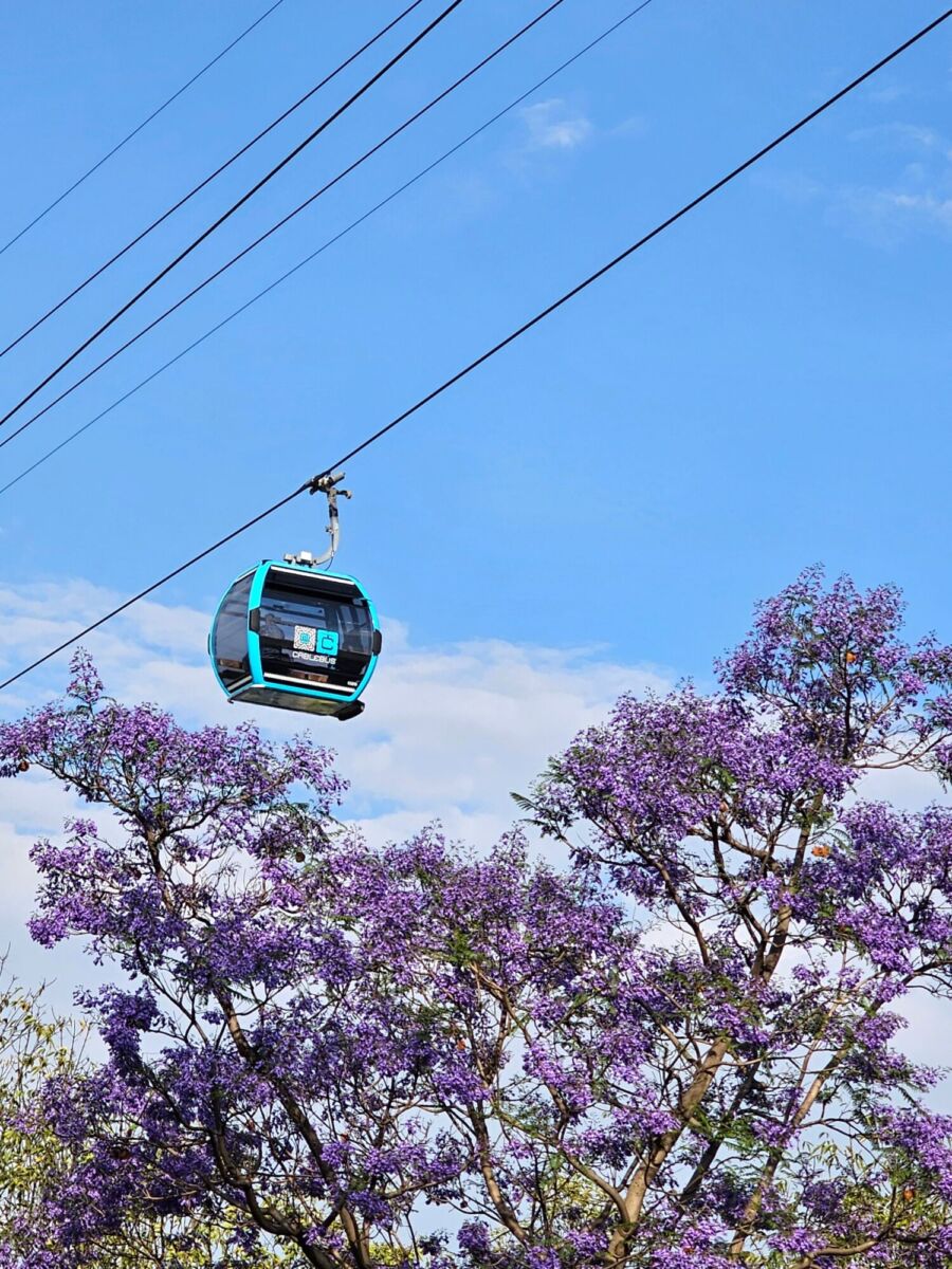 Cablebús de Chapultepec 