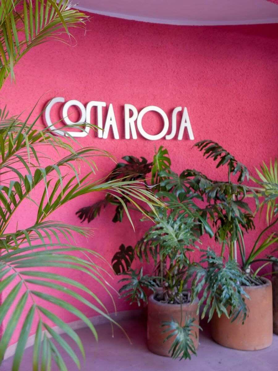 pared rosa mexicano con plantas y un letrero de 'costa rosa'