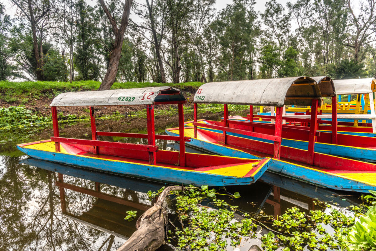 trajinaras en el canal de Xochimilco
