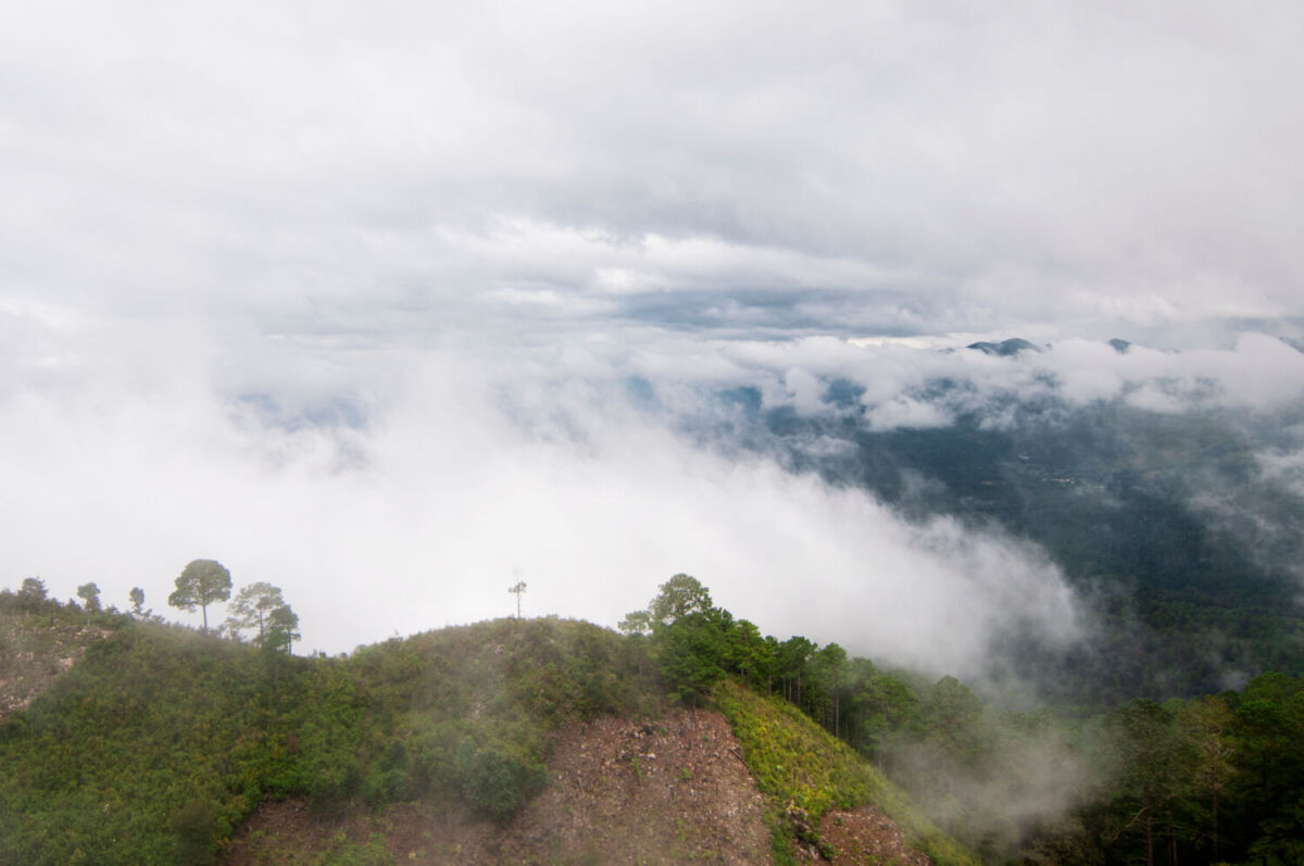 En el bosque más mágico de México hay lluvia horizontal y te decimos qué es