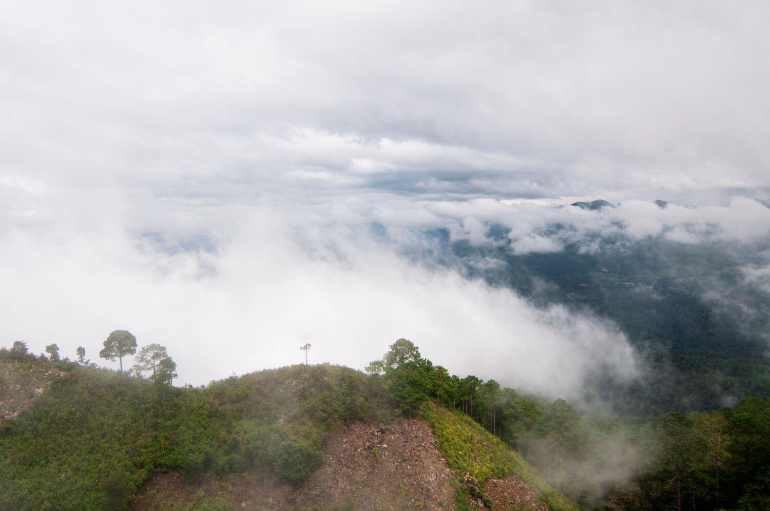 En el bosque más mágico de México hay lluvia horizontal y te decimos qué es En el bosque más mágico de México hay lluvia horizontal y te decimos qué es