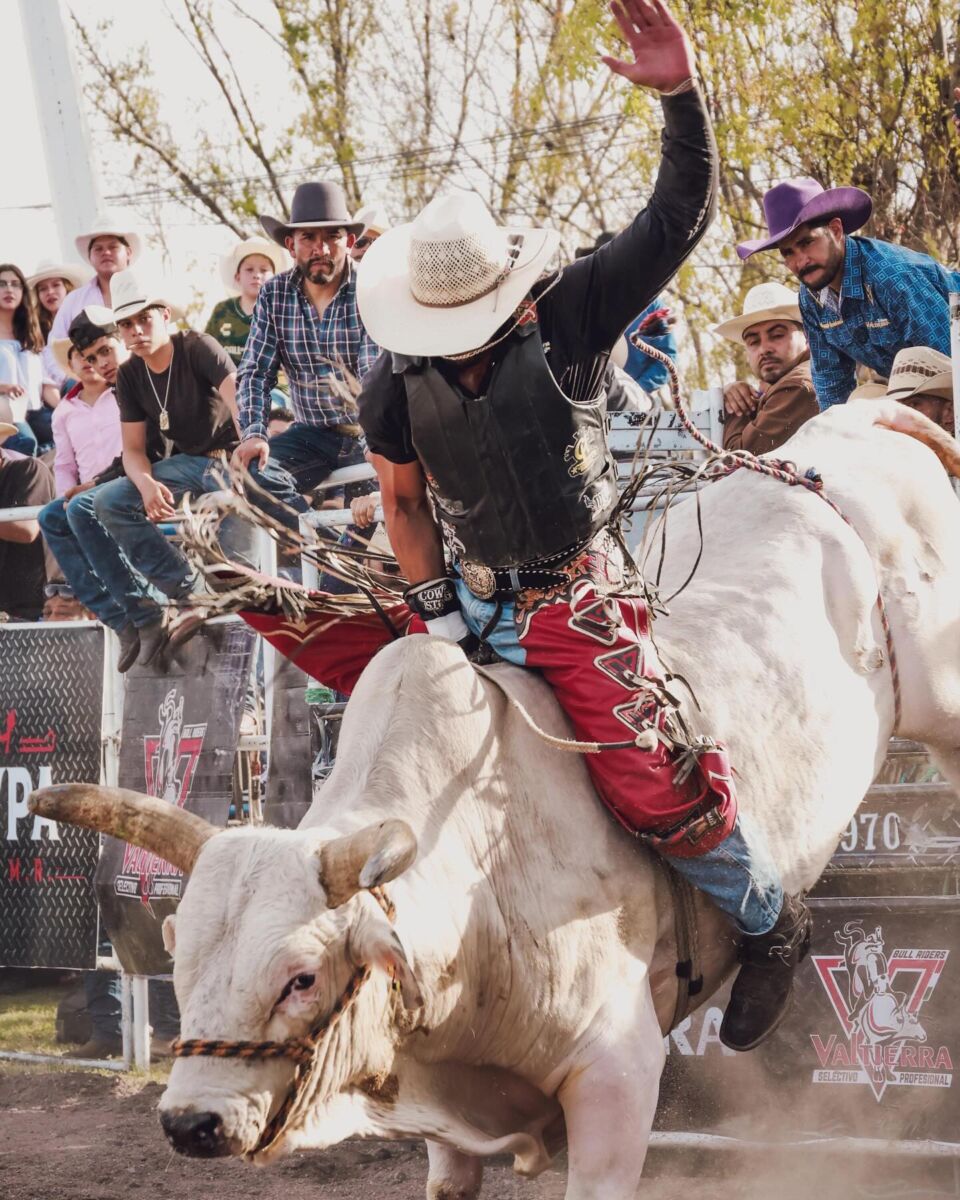 Circuito de rodeo en la Feria Nacional del Sombrero