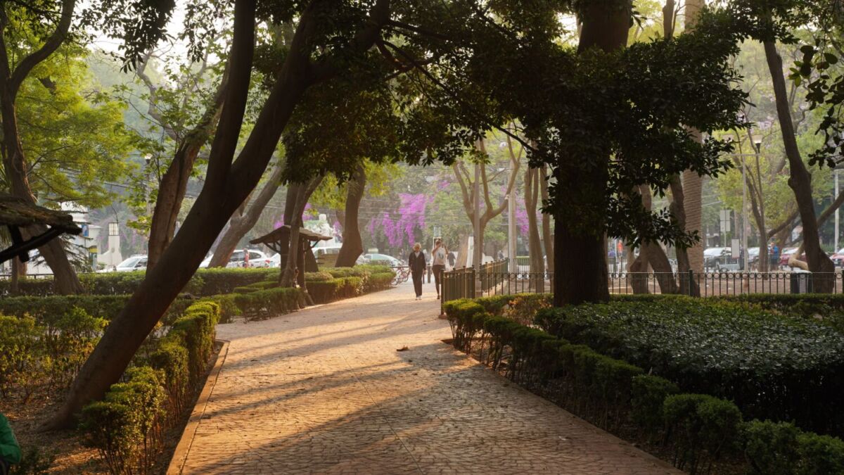 La historia de la colonia Condesa: De hipódromo para la élite porifiriana a residencial para españoles exiliados