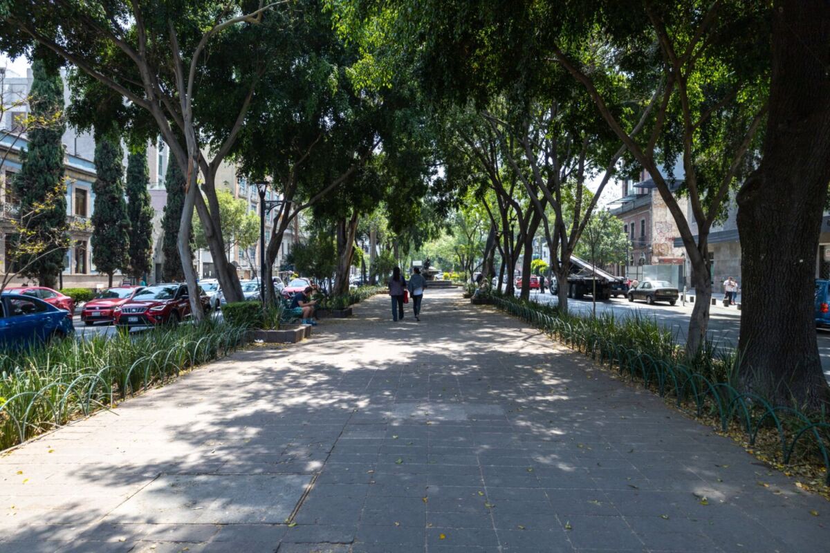 Camellón amplio para caminar en la colonia Condesa