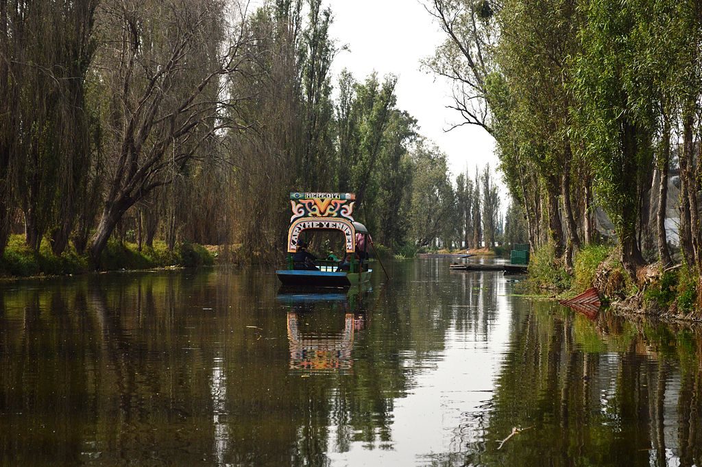 trajinera tradicional navegando por los canales rodeados de ahuehuetes