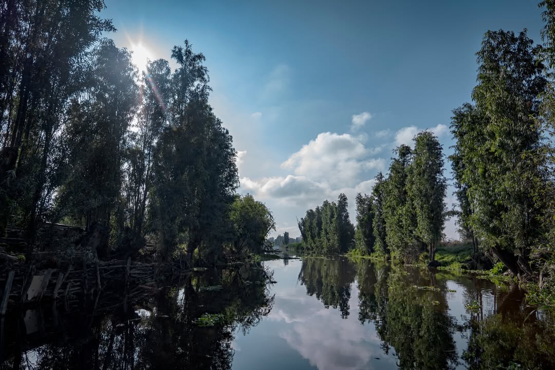 canales de tláhuac rodeados de árboles