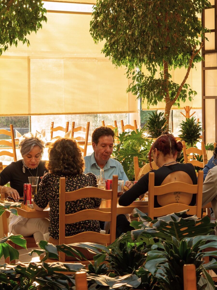 Familia comiendo en restaurante Café del Bosque Chapultepec con plantas y luz natural, Ciudad de México