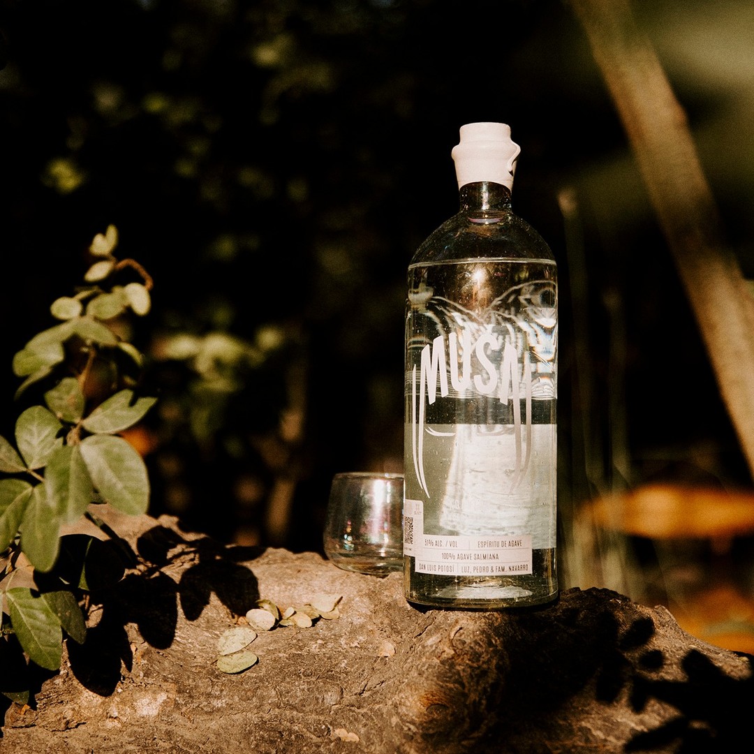 botella de cristal de mezcal Musa iluminada con luz natural