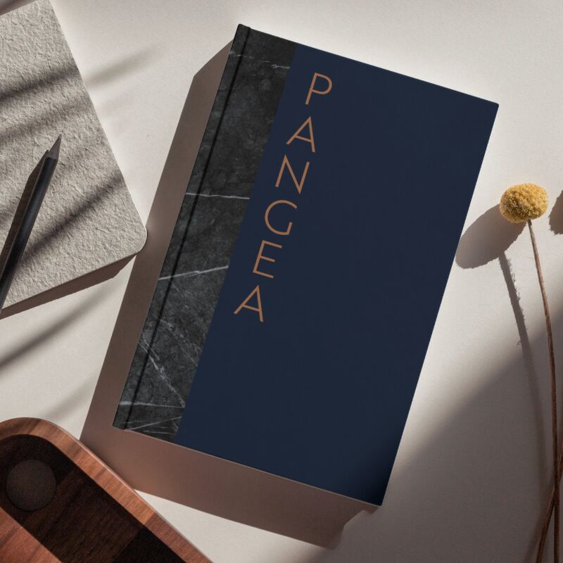 libro angea tapa dura foto editorial