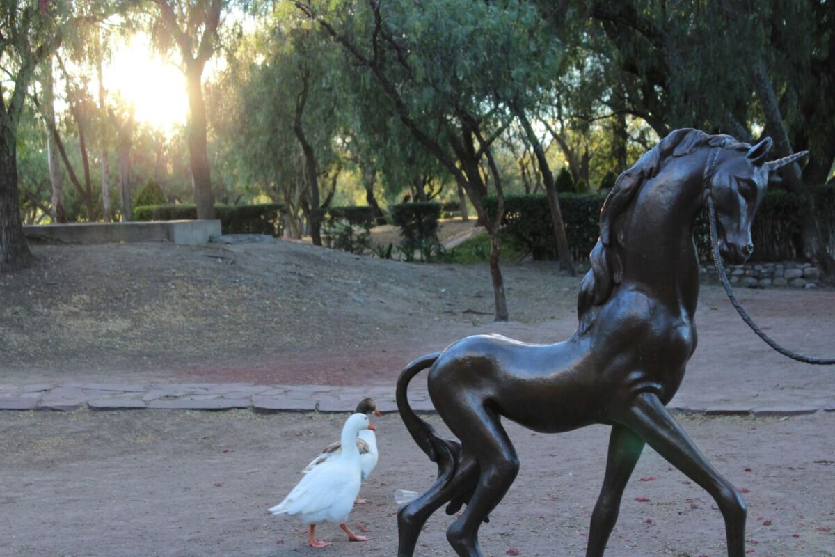 Un pato y una escultura en el Parque de las Esculturas de Cuautitlán Izcalli          