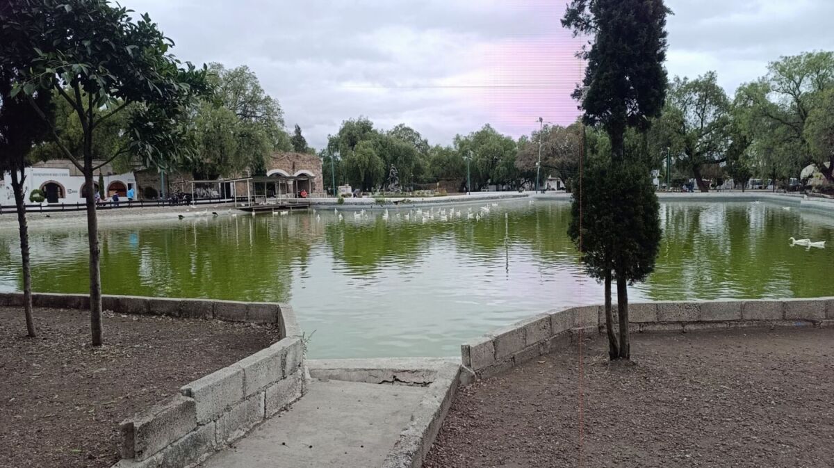 Lago con patos en el Parque de las Esculturas de Cuautitlán Izcalli 