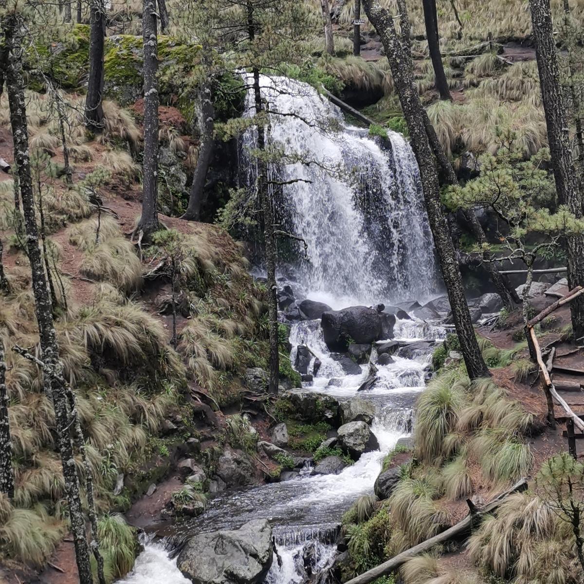 cascada en el bosque