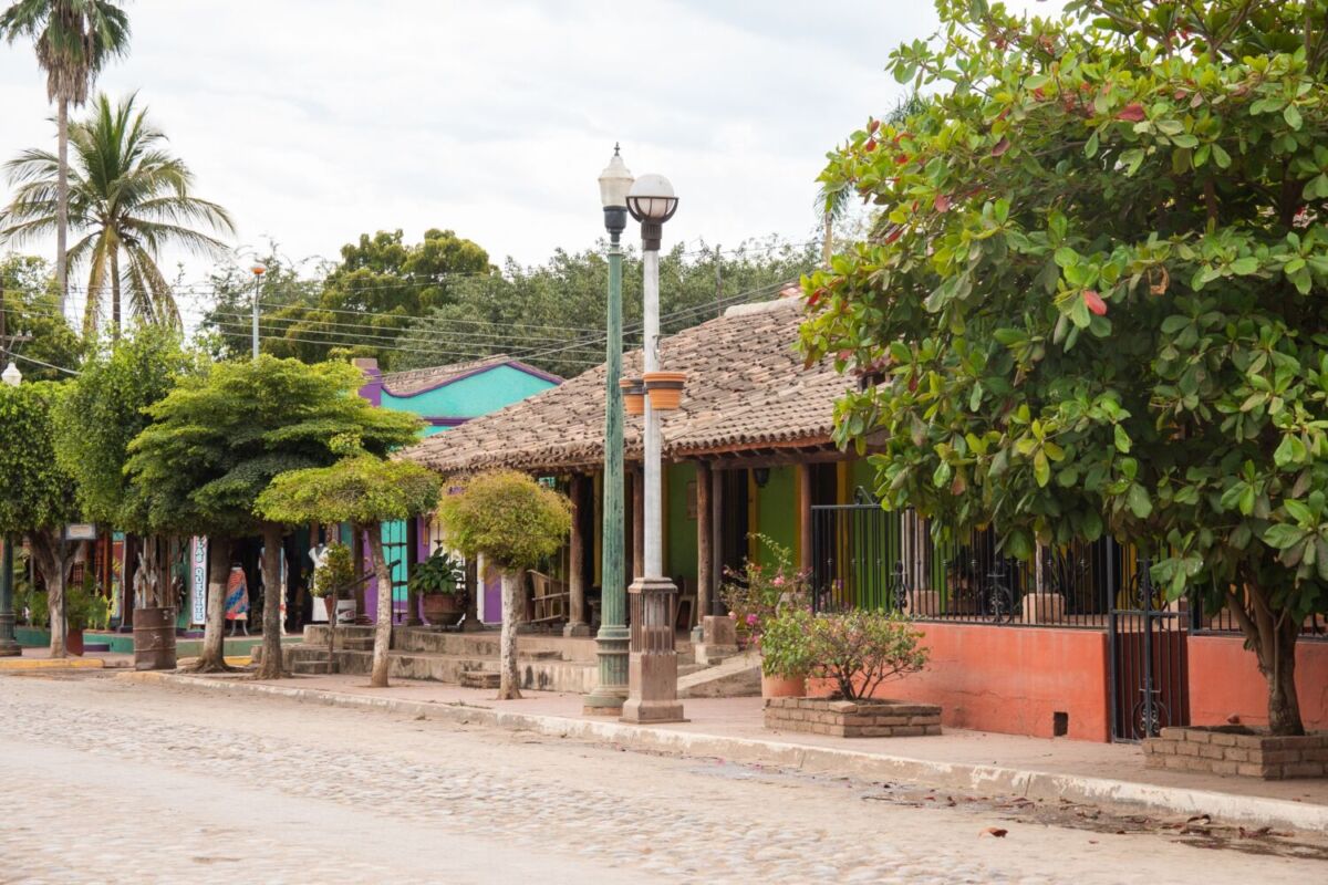 calle en el quelite, sinaloa con árbolesy casas coloridas con techo de teja