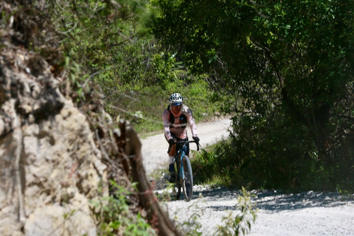 ciclista de gravel en paisaje con vegetación