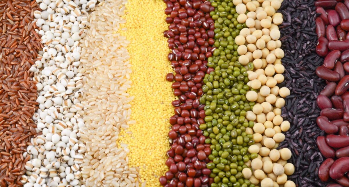 variedades de frijoles 