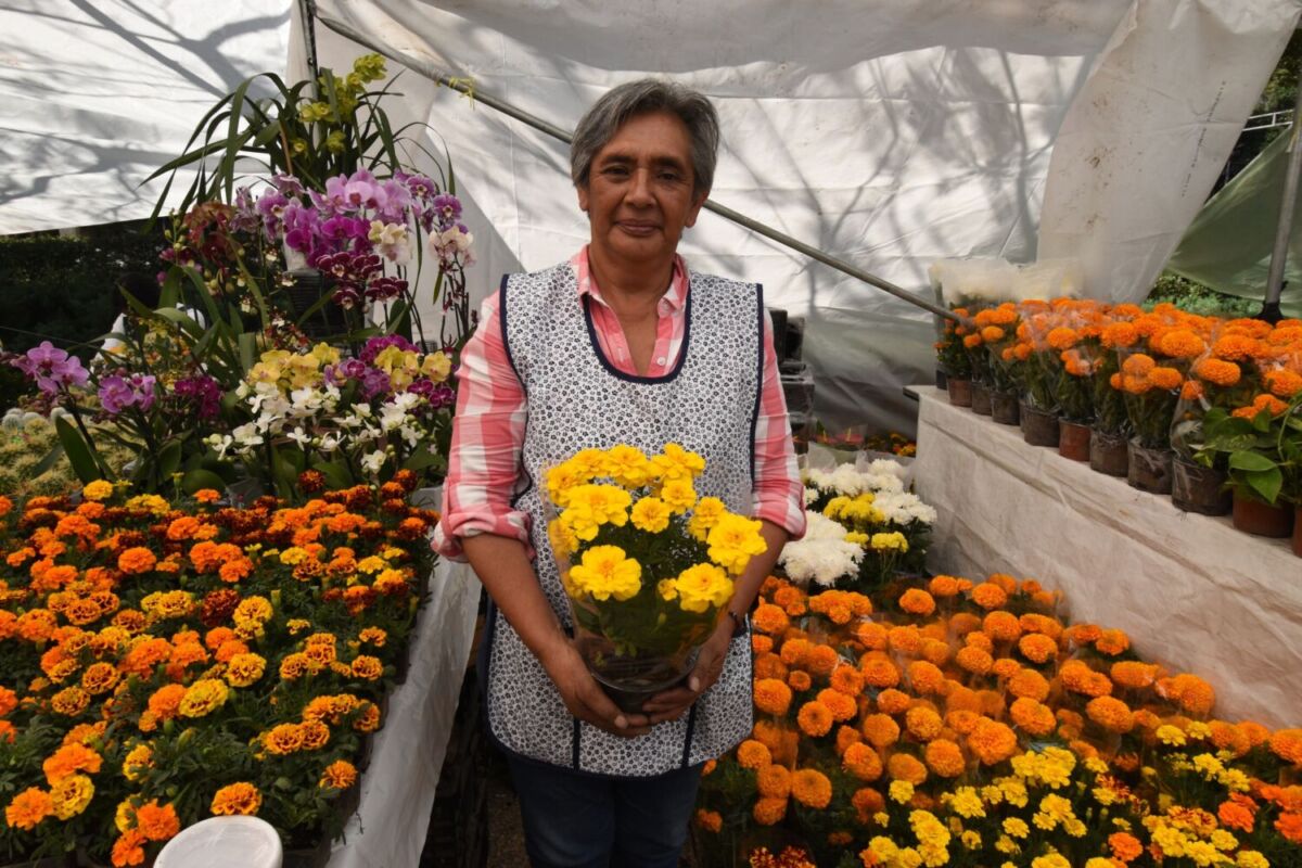 Vendedora de flores en San Lorenzo Tlacotepec