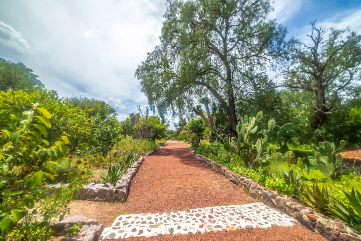 paseo de jardin botanico 