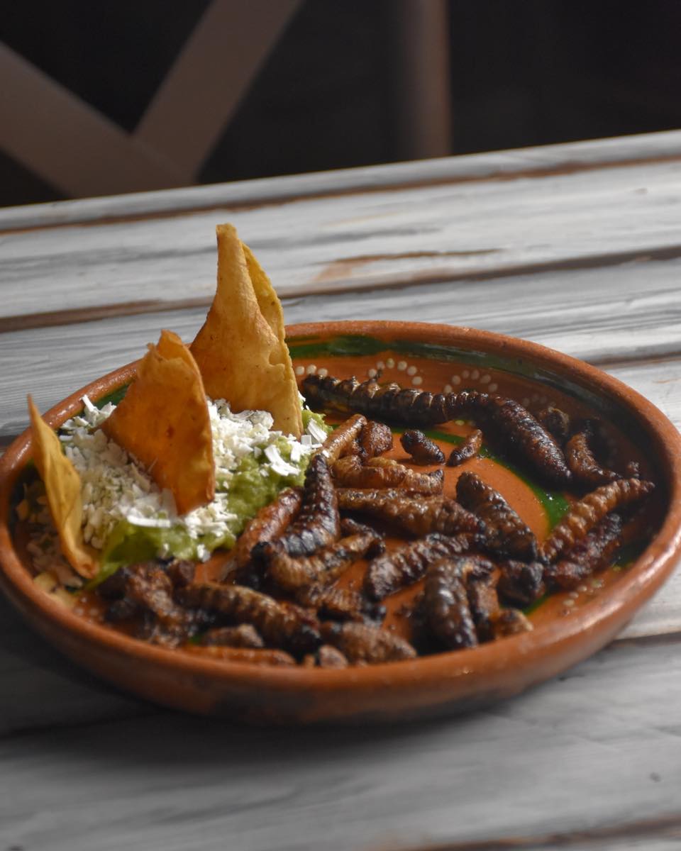 plato de barro con guacamole y gusanos de maguey