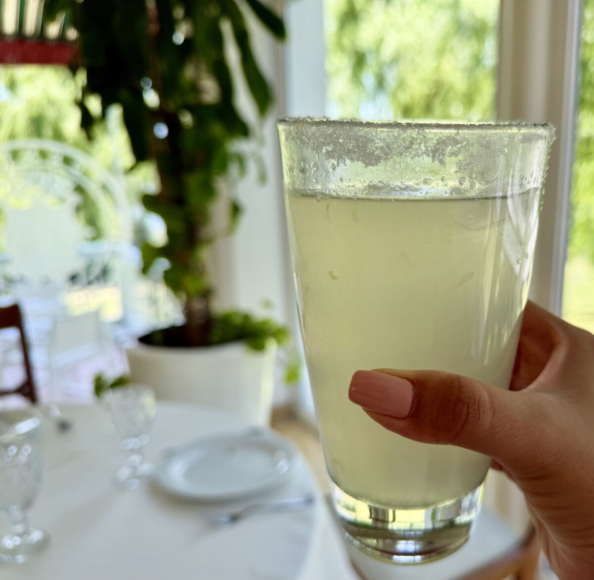 Mano sosteniendo un vaso de agua mineral con limón, escarchado con sal