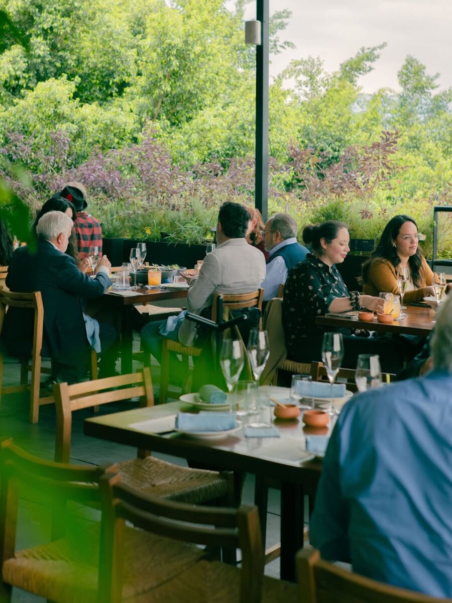 restaurante con terraza y vistas a los árboles