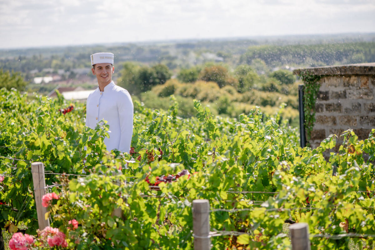 hombre con uniforme de The Peninsula entre los viñedos en Francia