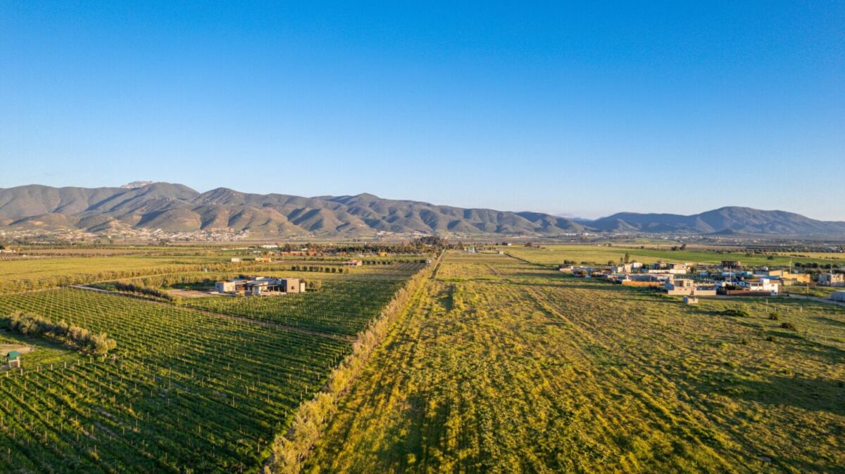 vista aérea del Valle de Guadalupe