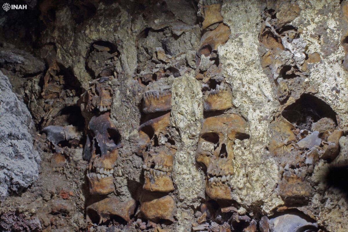 muro de cráneos humanos