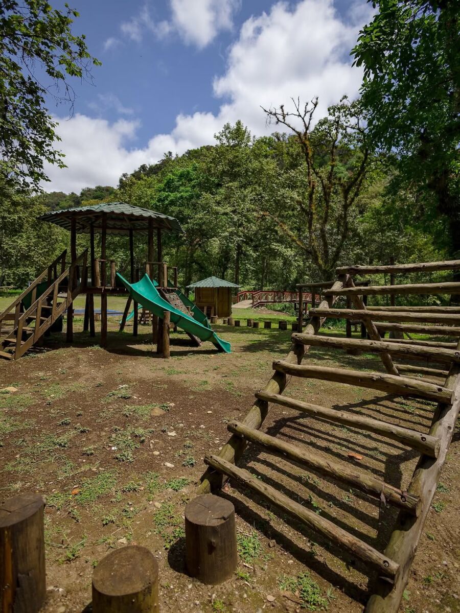 juegos infantiles en un bosque veracruzano 