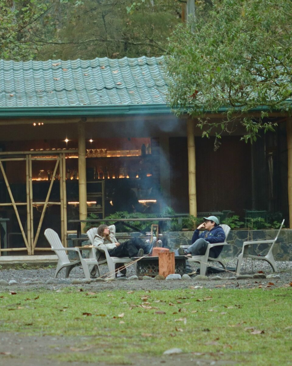 personas disfrutando de una fogata en el bosque 