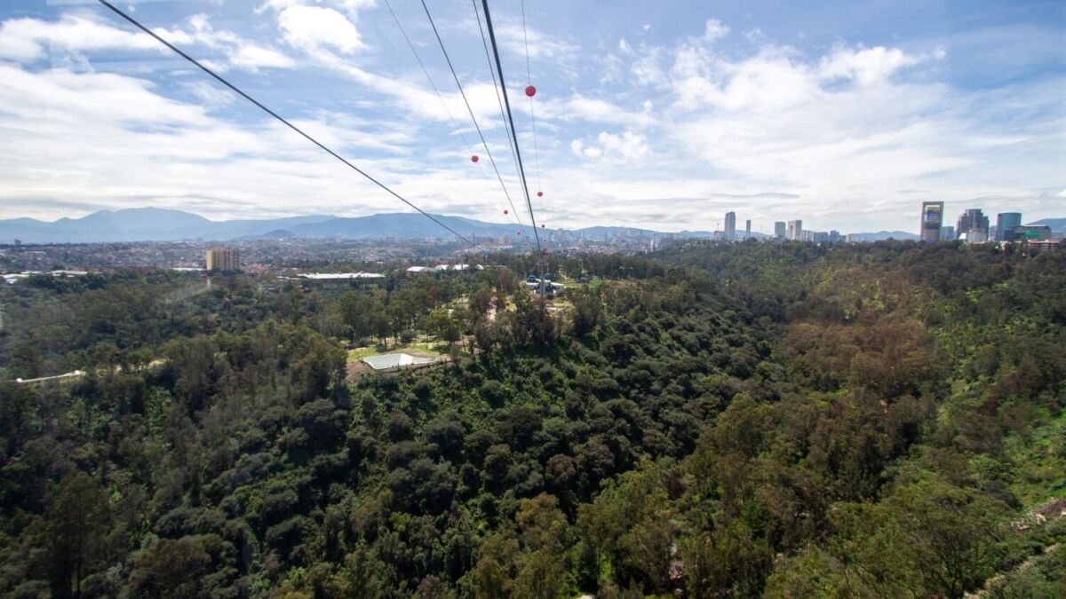 Vista del Bosque de Chapultepec desde una cabina del Cablebús 