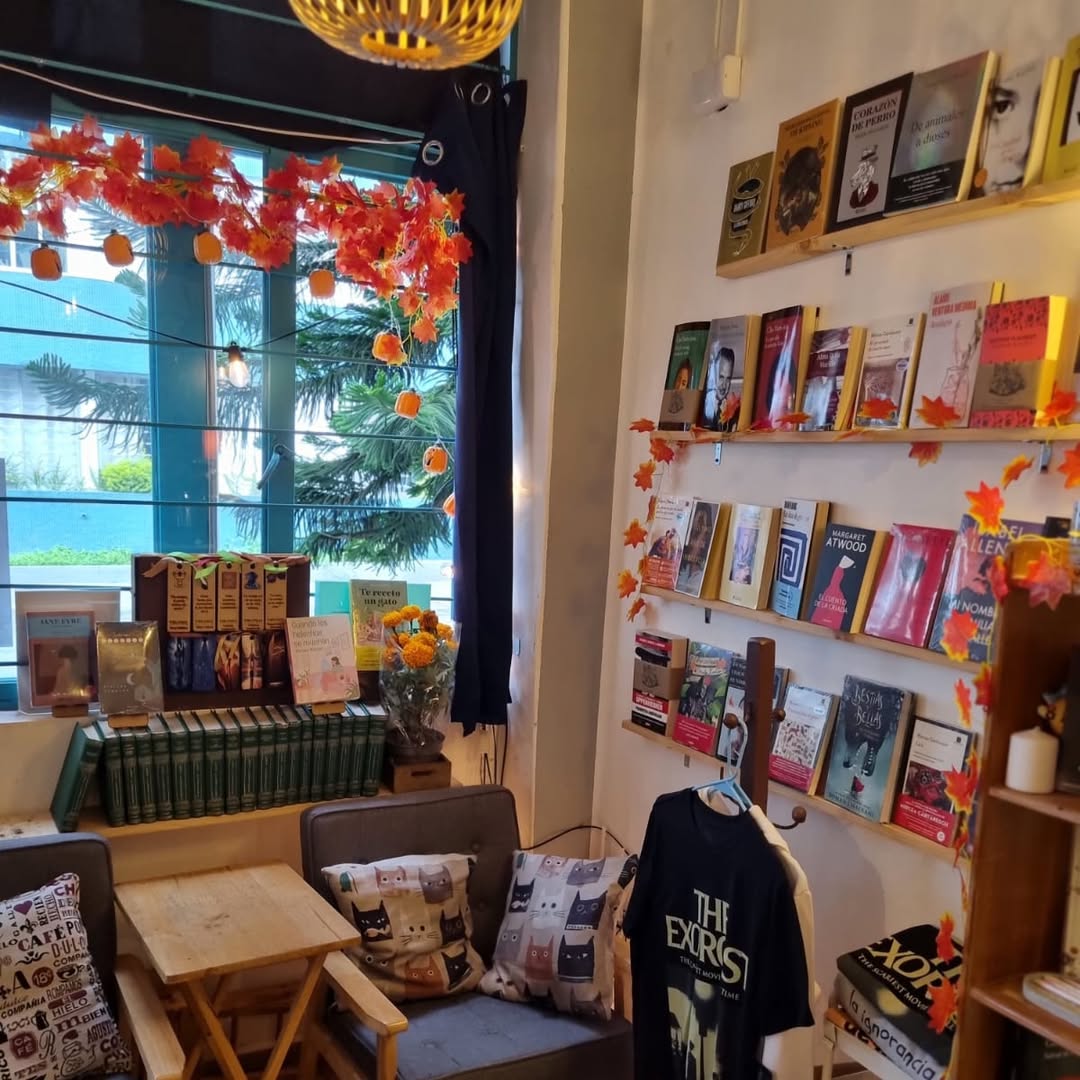 librería acogedora con libros en las paredes y objetos decorativos