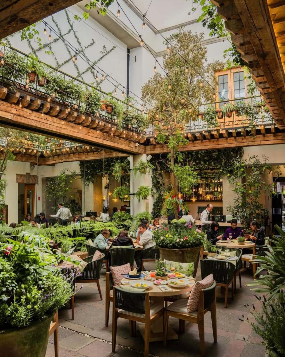 Casa Manzano: el restaurante mexicano del Centro Histórico que te hace sentir en un jardín botánico