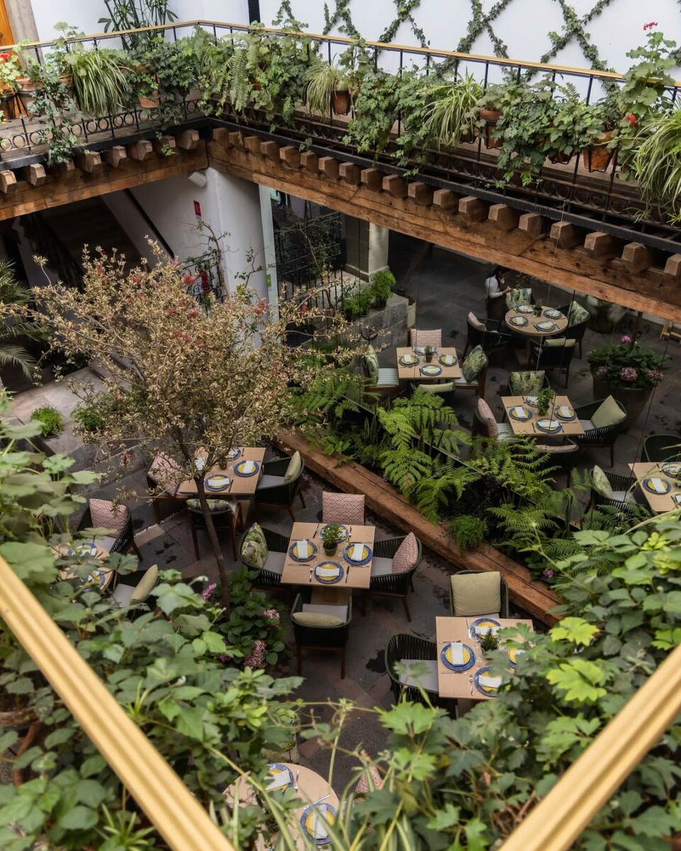 restaurante entre plantas y flores 