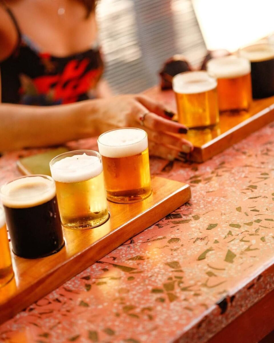 degustación de cerveza artesanal