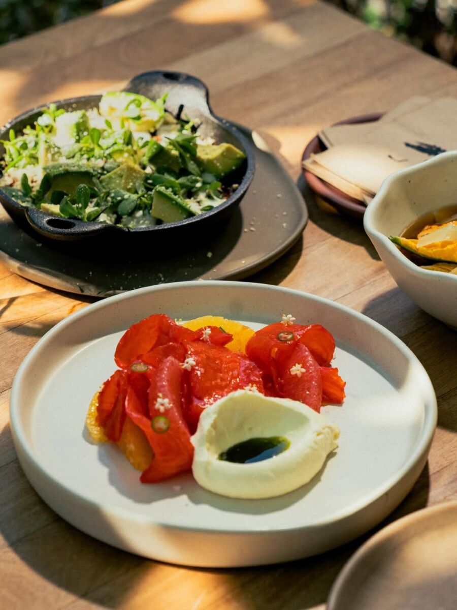 trucha salmonada con crema fresca y ensalada
