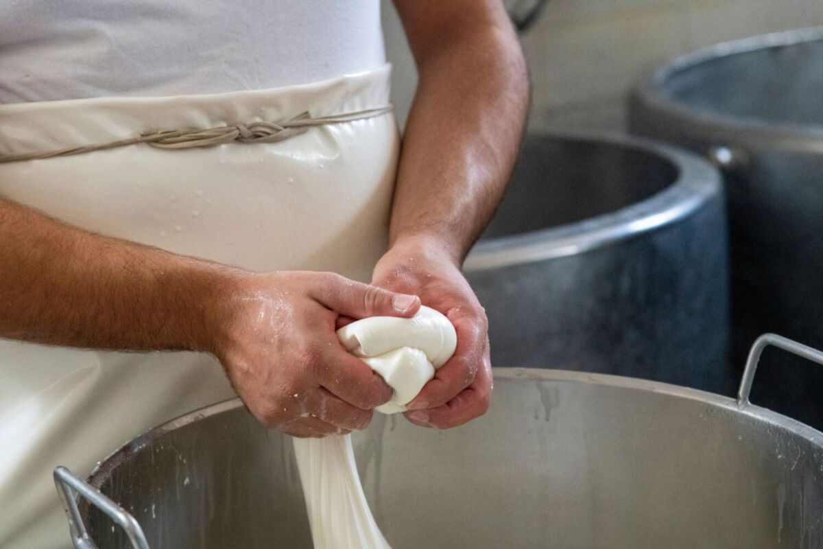 persona elaborando queso Oaxaca