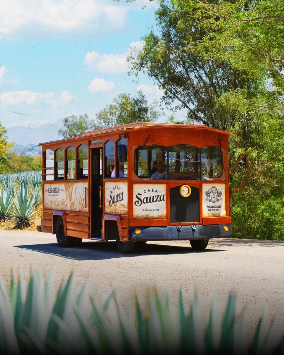 tranvía en un campo de agave en un día soleado