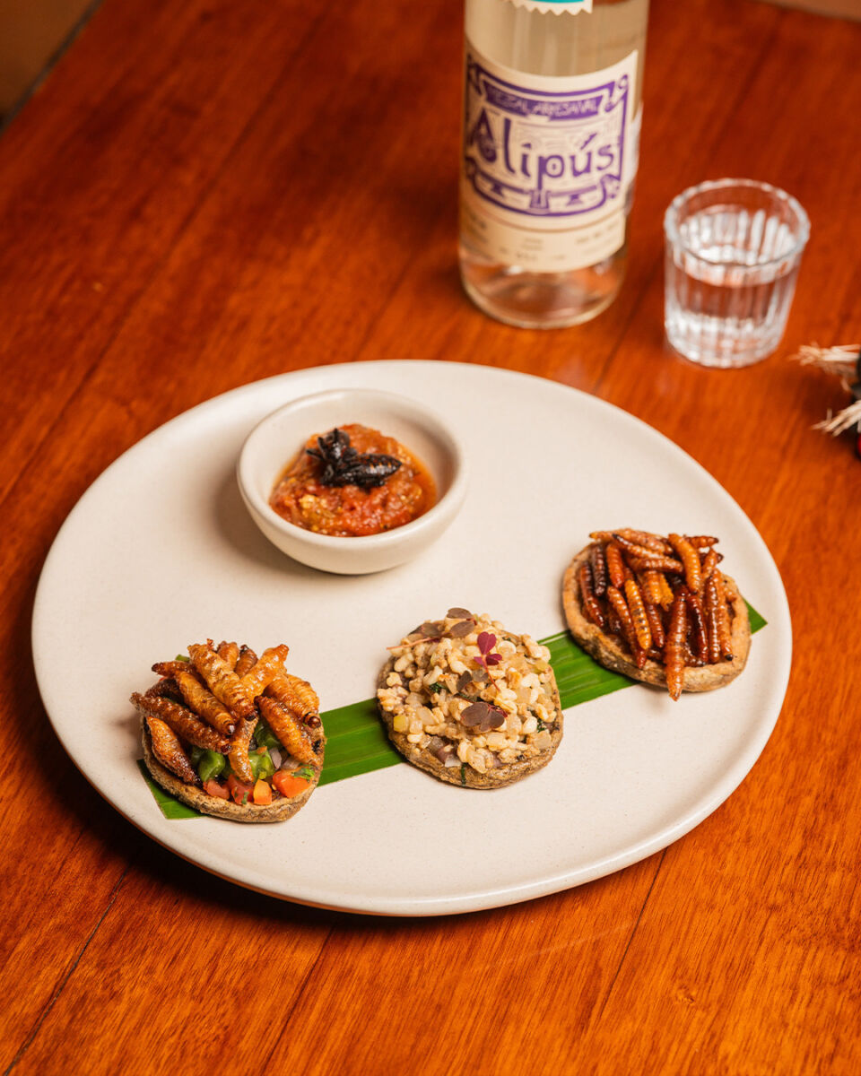 plato con tres sopes de insectos