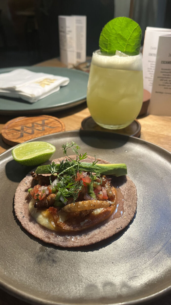 Taco de gusano de maguey