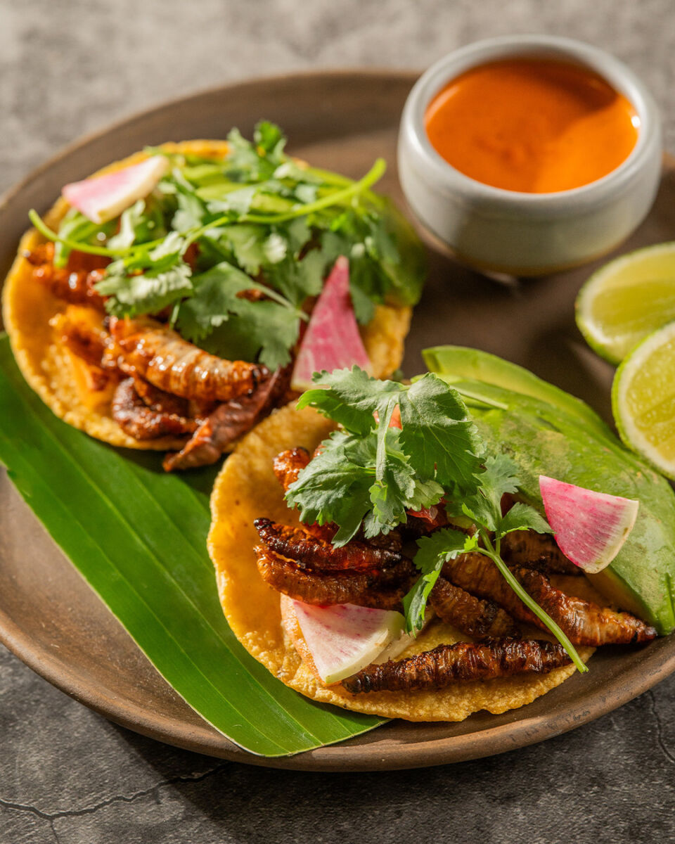tacos de insectos con quelite