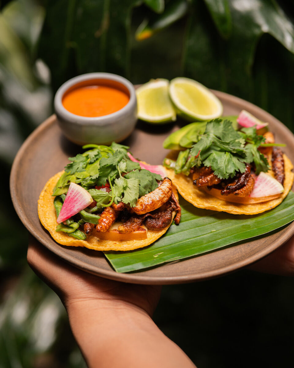 dos tacos de insectos con quelites y salsa roja
