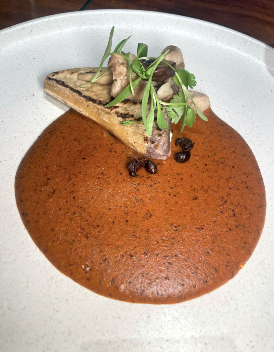 mole rojizo con tetela y hormigas chicanas