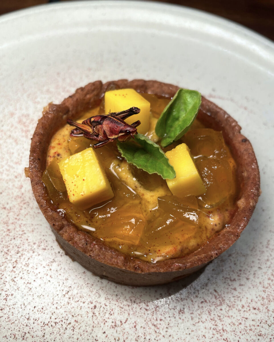 Tartaleta de mango y chapulines