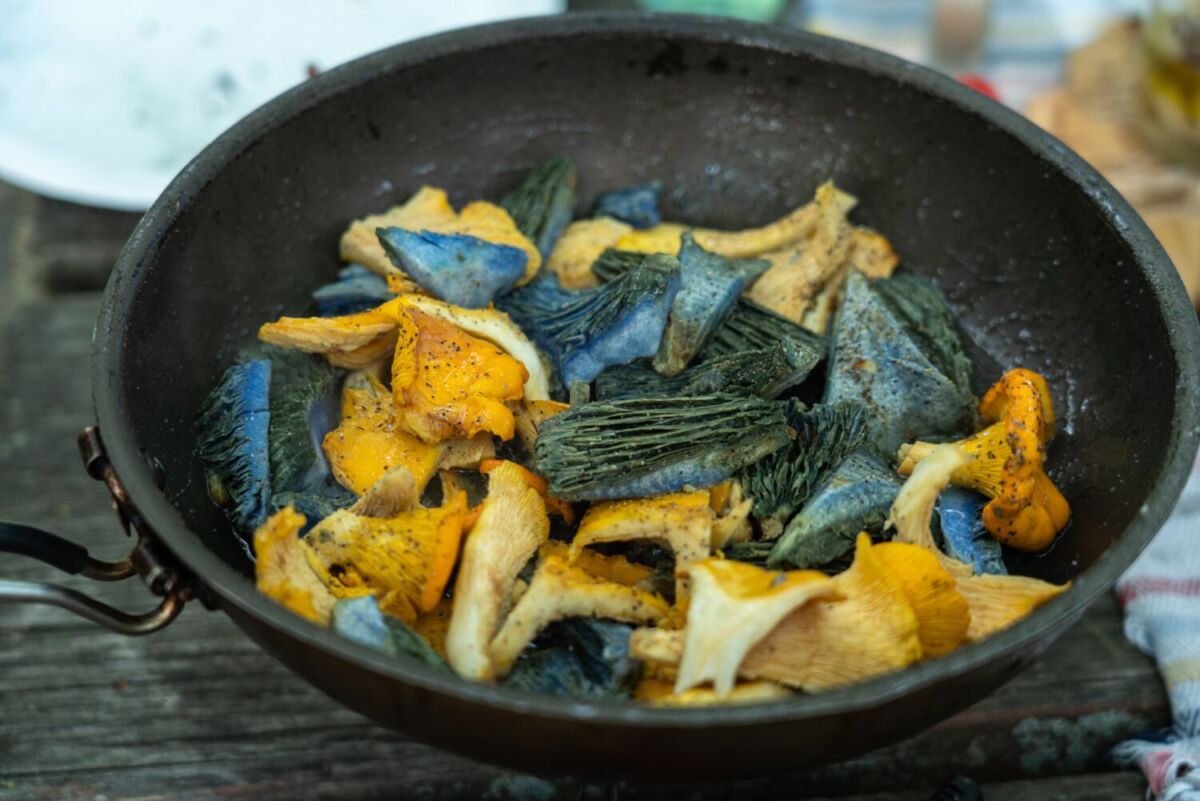 Hongos azules con hongos amarillos en un sartén 