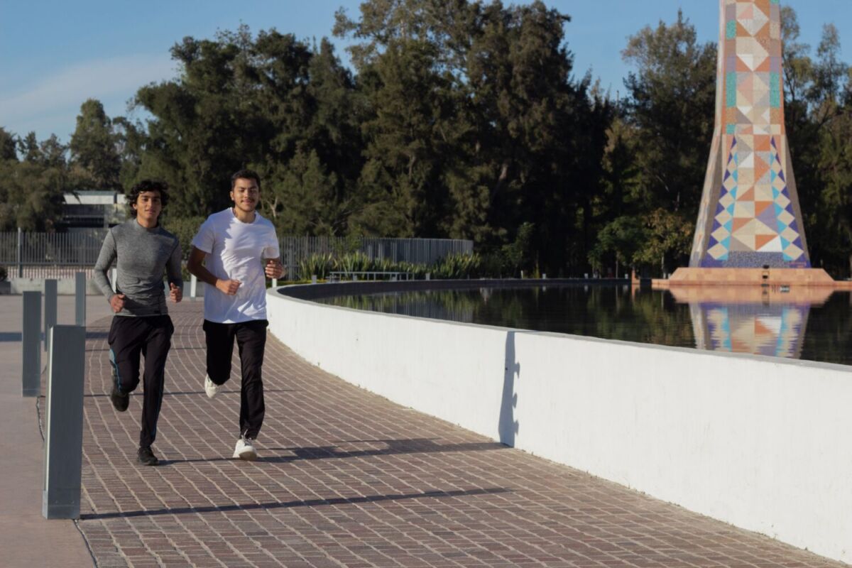 personas trotando en un parque 