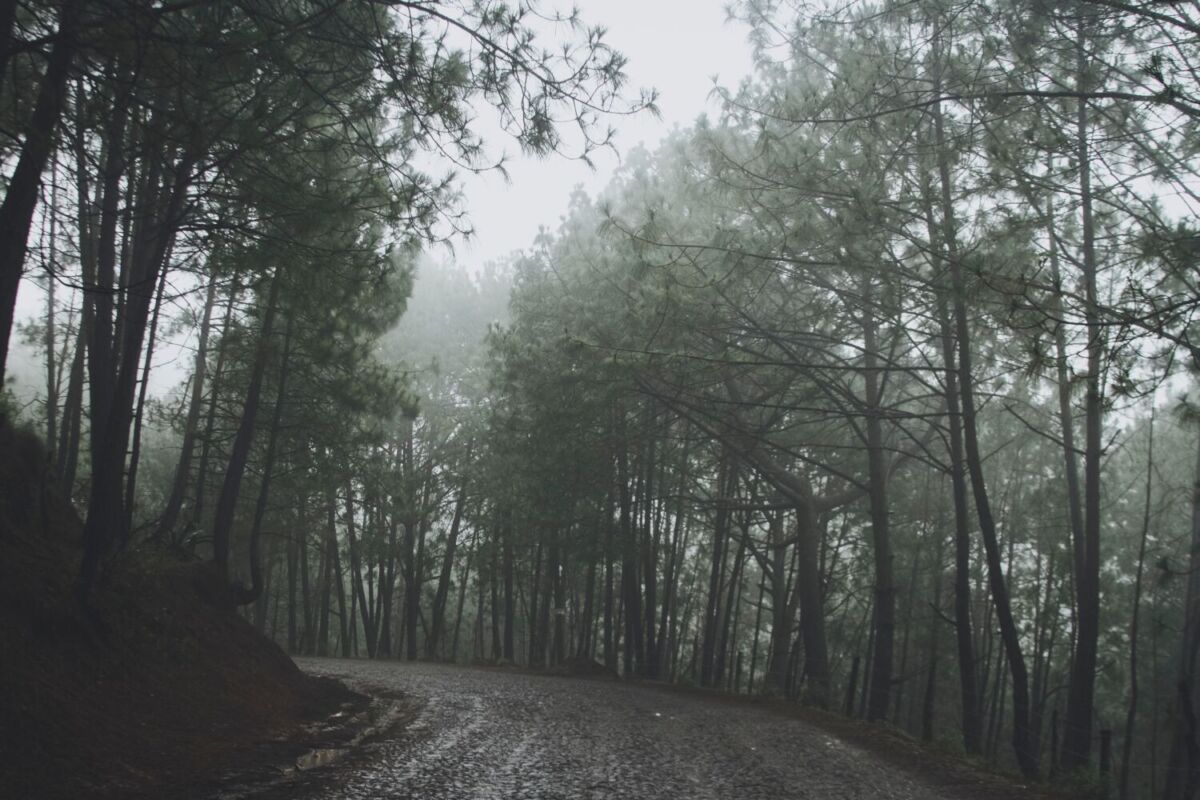 Carretera de Mazamitla con neblina después de llover 
