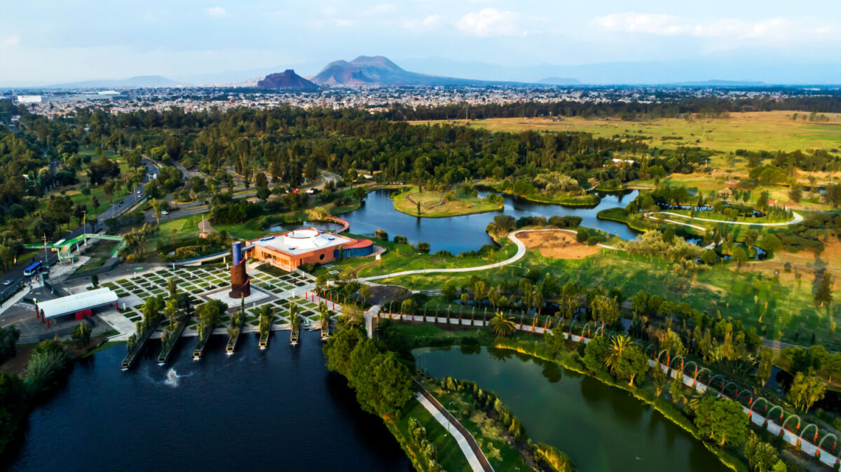 Si tienes el corazón roto: lugares llenos de naturaleza en la CDMX para cuando necesitas tocar pasto