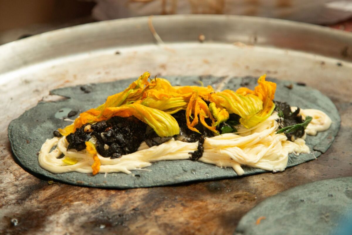 quesadilla de huitlacoche y flor de calabaza en un comal 
