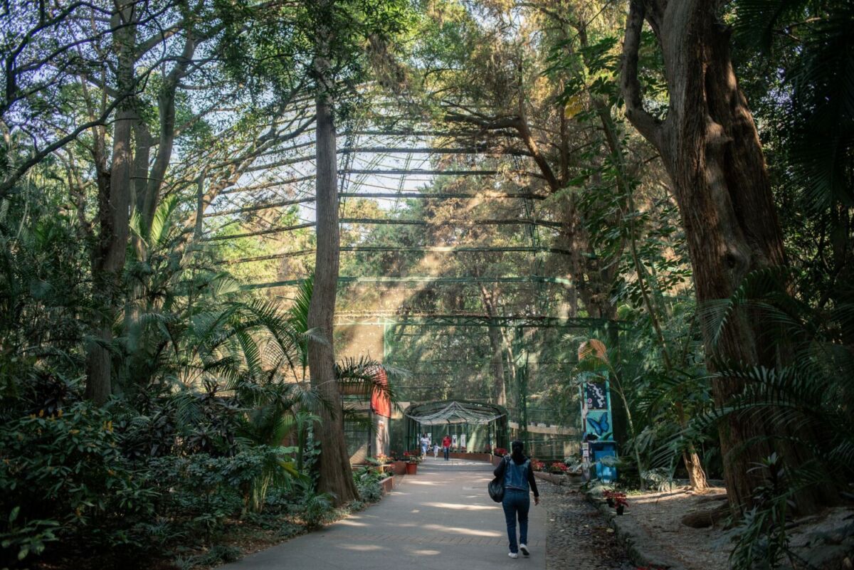 mujer caminando por un parque de Cuernavaca 