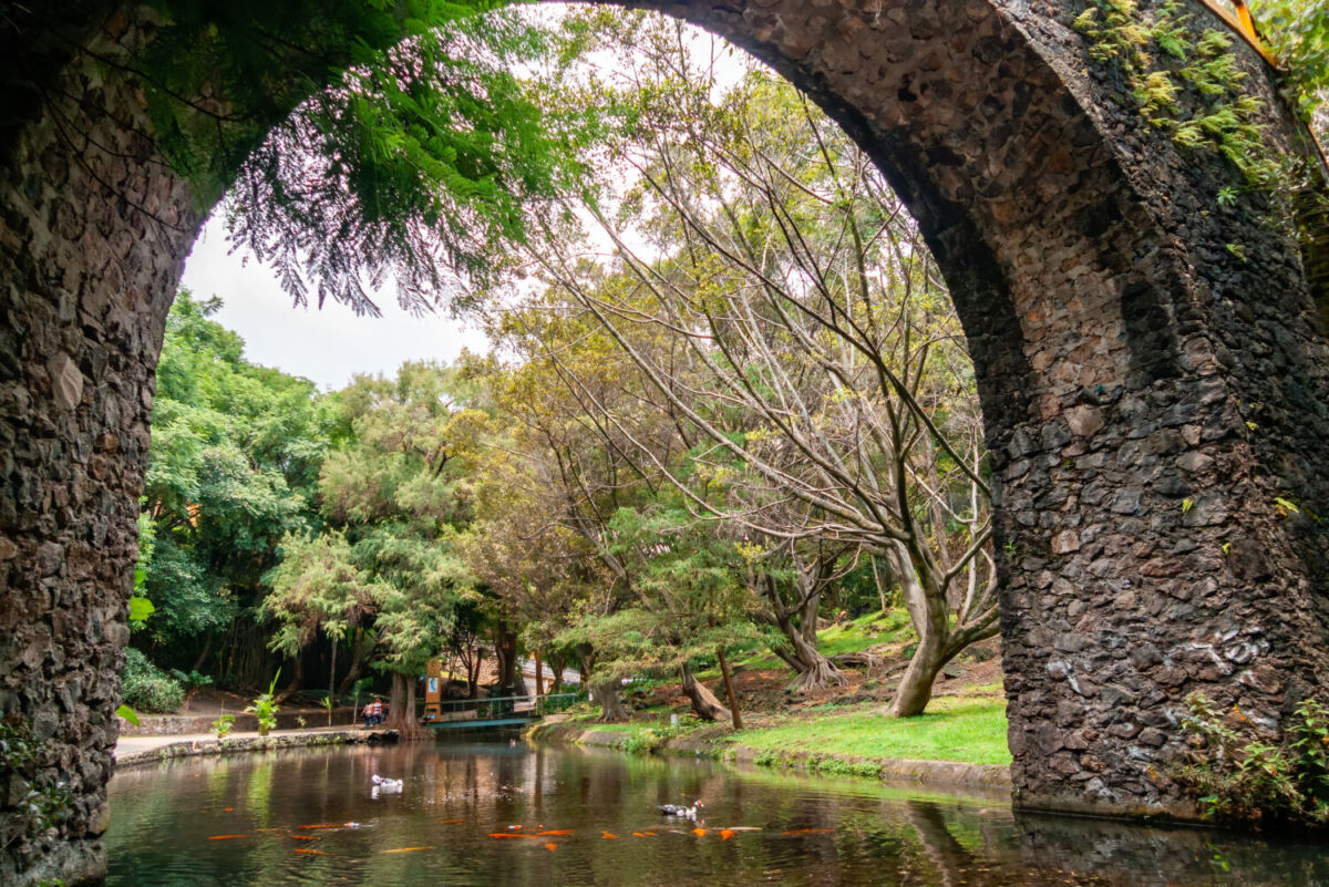 parque natural en Cuernavaca 
